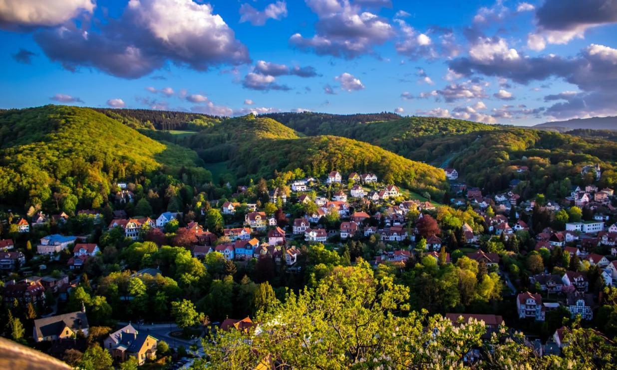 Chalet Mit Schlossblick Wernigerode, Chalet 2 Екстериор снимка